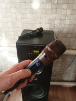 WOW Effect Микрофон для живого вокала беспроводной;профессиональный;караоке, серый #3, Светлана П.