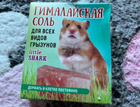 Минеральный камень для грызунов, гималайская соль 1шт #5, Ангелина В.