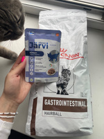 Сухой корм Royal Canin Gastrointestinal Hairball Control для кошек при патологии ЖКТ, с курицей, 2 кг. #16, Екатерина Ч.