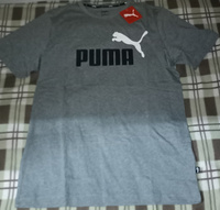 Футболка PUMA Ess+ 2 Col Logo Tee #29, Евгений Г.