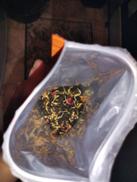 Чай черный листовой рассыпной фруктовый Манго маракуйя, 100 гр. #5, Карина Т.