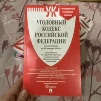 Уголовный кодекс РФ 2024 год ( по сост. на 24.01.24) + путеводитель по судебной практике и сравнительная таблица последних изменений. (УК 2024) #2, Анна В.