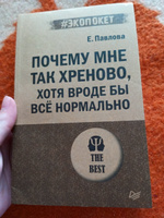 Почему мне так хреново, хотя вроде бы всё нормально (#экопокет) | Павлова Елизавета Сергеевна #2, Варвара Е.