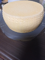 Фермерская закваска для сыра Danisco MA 4001/4002 (5 DCU) #5, Олеся А.