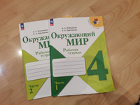 Плешаков. Окружающий мир. Рабочая тетрадь. 4 класс. в 2-х частях. / к ФП 22/27 #5, Юлия А.