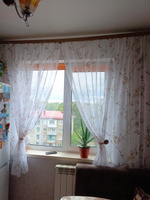 Curtain & Textile Тюль высота 190 см, ширина 300 см, крепление - Лента, Белый,светло-коричневый #76, Наталья Н.