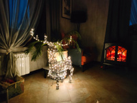 Светящийся олень Гэвин 99 см, 300 теплых белых LED ламп, IP44 #4, Мария П.