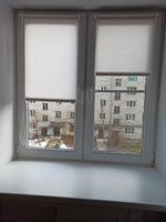 Рулонные шторы 45 см x 160 см Снежный серый Апилера DECOFEST (Мини) #135, Оксана Р.