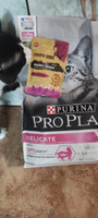Сухой корм Pro Plan Delicate для кошек с чувствительным пищеварением, с ягненком, 3 кг #47, Сергей М.