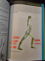 Анатомия силовых тренировок для женщин | Делавье Фредерик, Гандил Майкл #3, Динара Г.