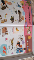 Интерактивная говорящая тактильная книжка для детей Нажималка BertToys #2, Ольга К.