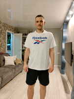 Футболка Reebok IDENTITY BIG LOGO TEE #34, Александр К.