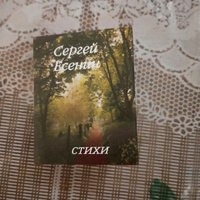 Мини книга Есенин С., Стихи | Есенин Сергей Александрович #7, Руслан С.