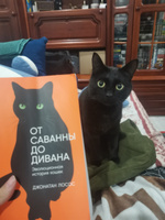 От саванны до дивана: Эволюционная история кошек Лосос Джонатан Б. | Лосос Джонатан Б. #3, Ellyps