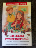 Рассказы русских писателей. Внеклассное чтение 1-5 классы. Классика для детей | Пантелеев Леонид, Паустовский Константин Георгиевич #3, Василий Щ.