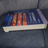 Учебник Анатомия Грея для студентов (Ричард Л. Дрейк), 3-е издание, 2020 #2, Мафтуна У.
