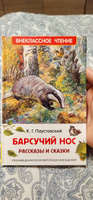 Барсучий нос. Рассказы и сказки. Внеклассное чтение | Паустовский Константин Георгиевич #5, Татьяна С.