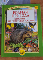 Животные мира. Кто живет на нашей планете. Книга для детей от 4 лет | Пратези Фулко, Пратези Изабелла #8, Белова Анна