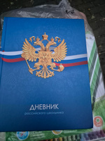 Дневник школьный BG "Российского школьника" 1 4 класс и 5 11 класс #58, Анастасия Т.