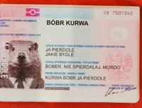 Обложка Бобр документ для паспорта/загранпаспорта #6, Артур П.