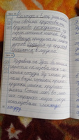 Тренажер по чистописанию 2 класс Учимся писать грамотно ФГОС | Жиренко Ольга Егоровна #6, Светлана Г.