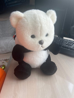 Панда с капюшоном черно-белый 35 см. мягкая игрушка для детей, медведь, обнимашка, домашний питомец #63, ОЛЕГ П.