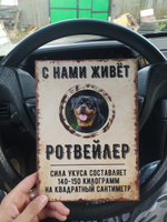 Табличка, декоративная, DANGER DOG, С нами живет Ротвейлер, 18см х 25см #4, Прохор М.