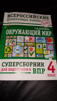 Окружающий мир. Суперсборник для подготовки к Всероссийским проверочным работам. 4 класс | Курчина Светлана Валентиновна #8, Ирина