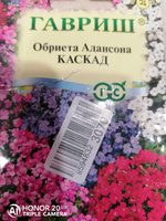 Обриета Каскад (смесь окрасок), 1 пакет, семена 0,05 гр, Гавриш #43, Лариса Ф.