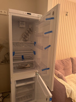 Холодильник двухкамерный встраиваемый Hyundai HBR 1782 белый #6, Альбина Х.