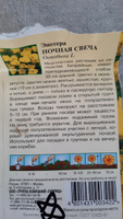 Энотера Ночная свеча (миссурийская), 1 пакет, семена 0,2 гр, Гавриш #13, Елена Б.