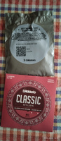 Струны для классической гитары D'ADDARIO Classic Nylon, EJ27N, Normal Tension 6 струн #19, Игорь Б.