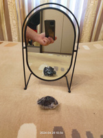Зеркало настольное косметическое для макияжа Mime, зеркало в ванную гримерное, овальное, черное, диаметр 27 см #20, Александр У.