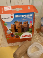 Керамический конструктор 3Д из кирпичиков Замок, 514 дет. / BRICKMASTER #23, Нина Щ.