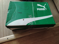 Кроссовки PUMA #56, Анатолий Л.