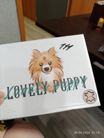 Сандалии Lovely Puppy #7, Дарья Ф.