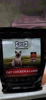 Gina Classic Adult Cat Chicken & Lamb Полнорационный сбалансированный корм супер премиум класса с курицей и ягнёнком для взрослых кошек, 1 кг #80, Екатерина К.