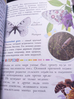 Удивительные насекомые | Гомыранов Илья Алексеевич #1, Ольга С.