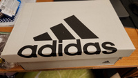 Кеды adidas Sportswear Hoops 3.0 #11, Ольга К.