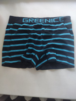 Трусы боксеры GREENICE UNDERWEAR, 2 шт #29, Михаил М.