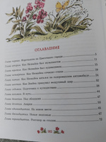 Приключения Незнайки и его друзей (иллюстр. В. Челака) | Носов Николай Николаевич #21, Виктория Л.