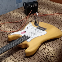 Электрогитара (Stratocaster) Jordani ST100 Beige #40, Куклина А.