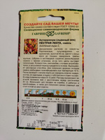 Семена Антирринум "Пестрая лента" Львиный зев 0,05 гр, однолетние цветы для дачи, сада и огорода, клумбы, цветы из семян, в открытый грунт, в контейнер. #7, Карпушкин Сергей