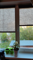 Рулонные шторы 48х150 см Финик цвет серый #166, Светлана А.