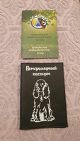 Обложка на ветеринарный паспорт для собак Кокер-спаниель #55, Екатерина О.