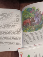 Сладков Н. Лесные сказки. Внеклассное чтение 1-5 классы | Сладков Николай Иванович #8, Елена К.