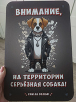 Информационная табличка "Внимание, на территории серьёзная собака!" (Осторожно, злая собака) / размер 30х20см, материал ПВХ 5мм #21, Наталья К.