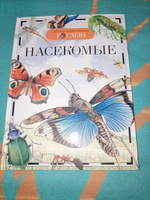 Насекомые. Детская энциклопедия школьника РОСМЭН | Травина Ирина Владимировна #4, Светлана А.