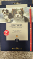 Карандаши цветные мягкие Bruno Visconti " EasyColor", набор 36 цветов, для рисования #20, Любовь Б.