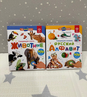 Говорящая тактильная музыкальная книжка - Набор из 2 Нажималка BertToys - развивающие игрушки и книги для малышей #1, Анастасия П.